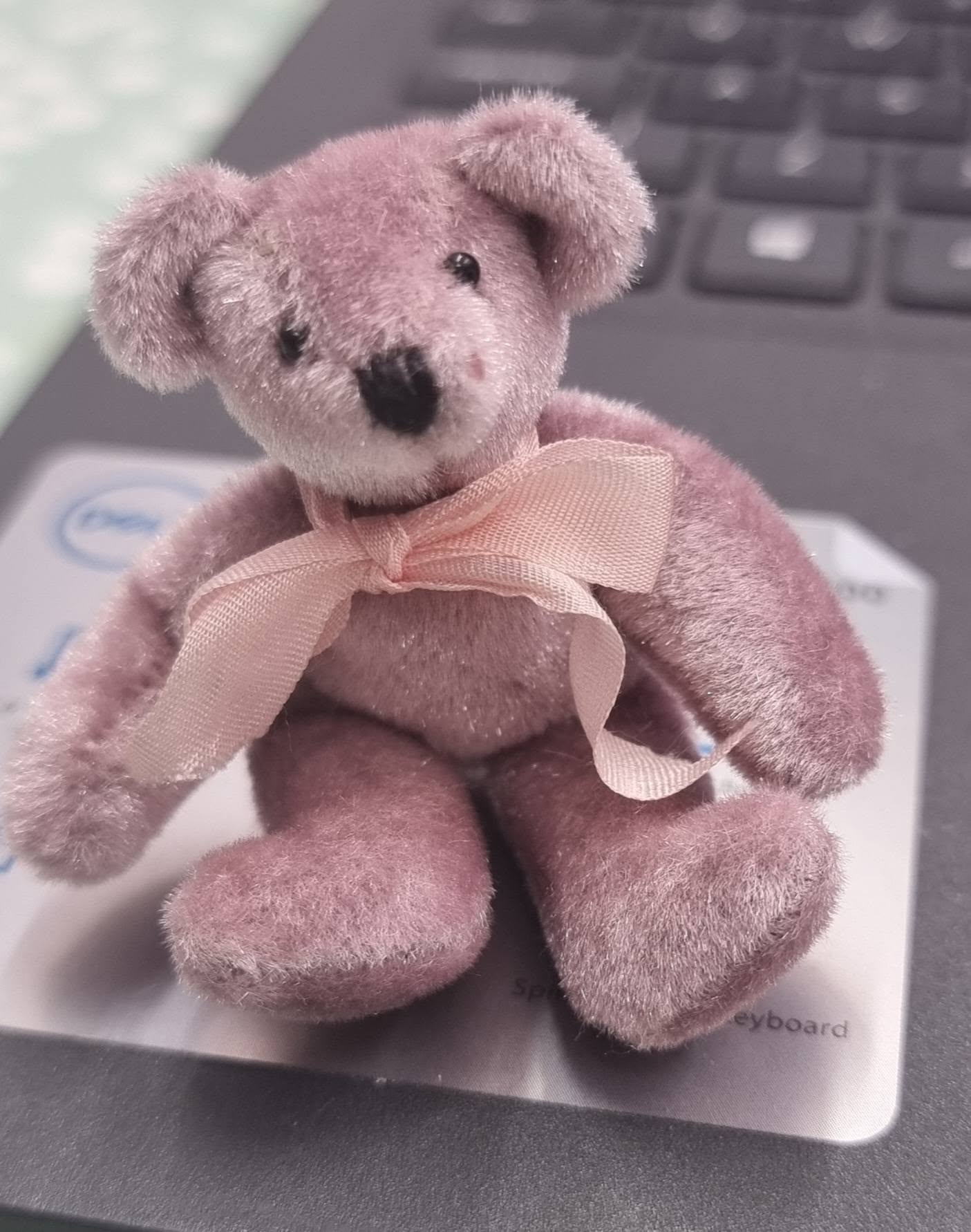 733912166_26930093113353669_3416548663389975531_n | Busy Bees Patchwork Pink plush teddy bear with a satin bow, sitting on a laptop keyboard in the background.